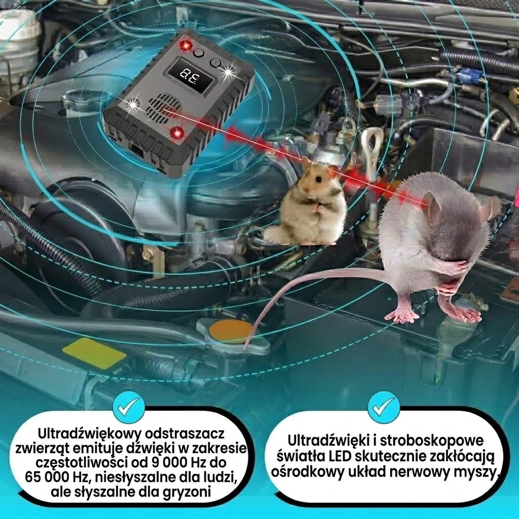 AutexRat