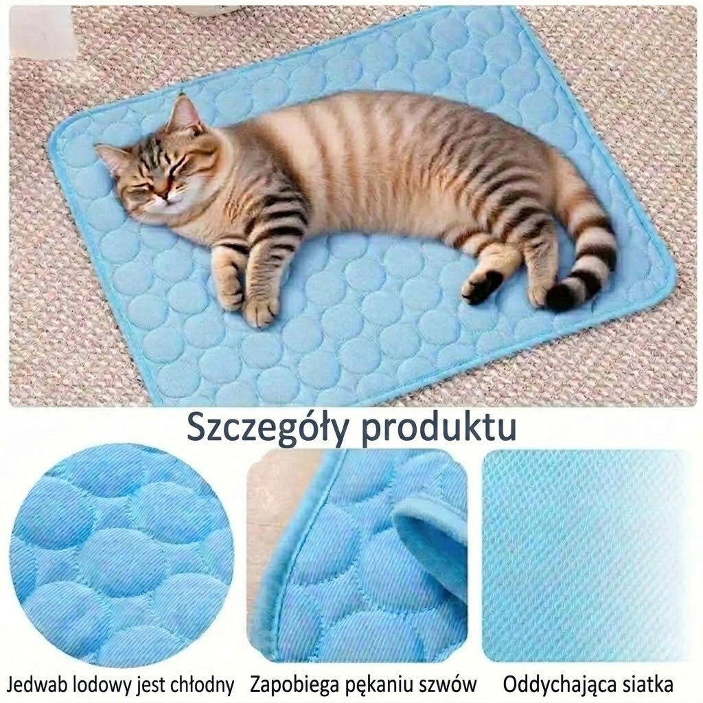 ChilKitur